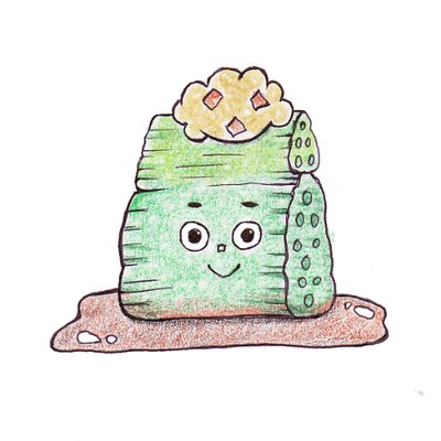 ちゃんかつ（tyankatsu）